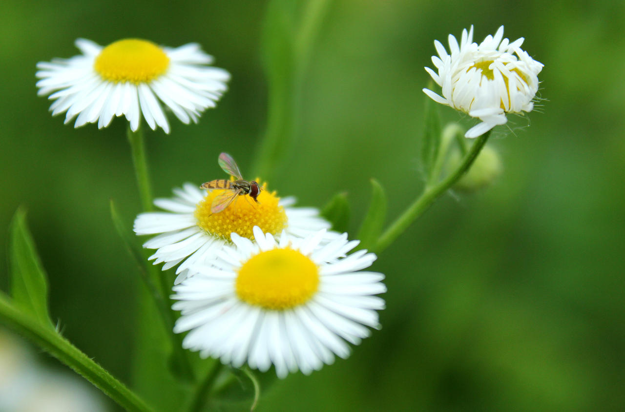 Lunch Rush by emilymh2018 on DeviantArt