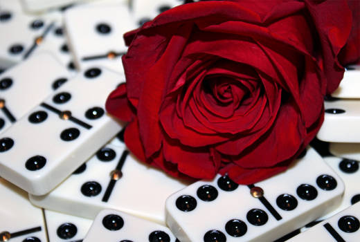 Rose and Dominoes