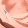 Spiraling Rose