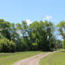 Landscape with Trees and Dirt Road