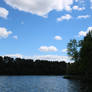 Blue Minnesota Lake with Green Trees