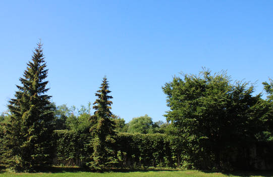 August MN Landscape With Green Trees