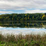 September Trees by Round Lake