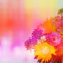 Colorful Mixed Floral Bouquet