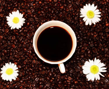 Coffee and Flowers