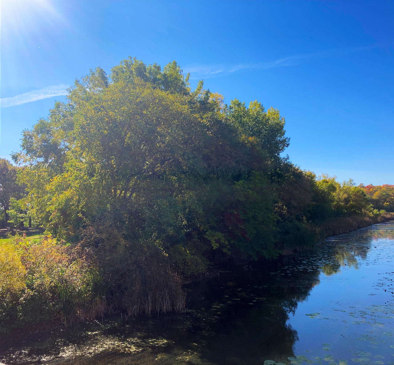 Fall Scape by emilymh2018 on DeviantArt