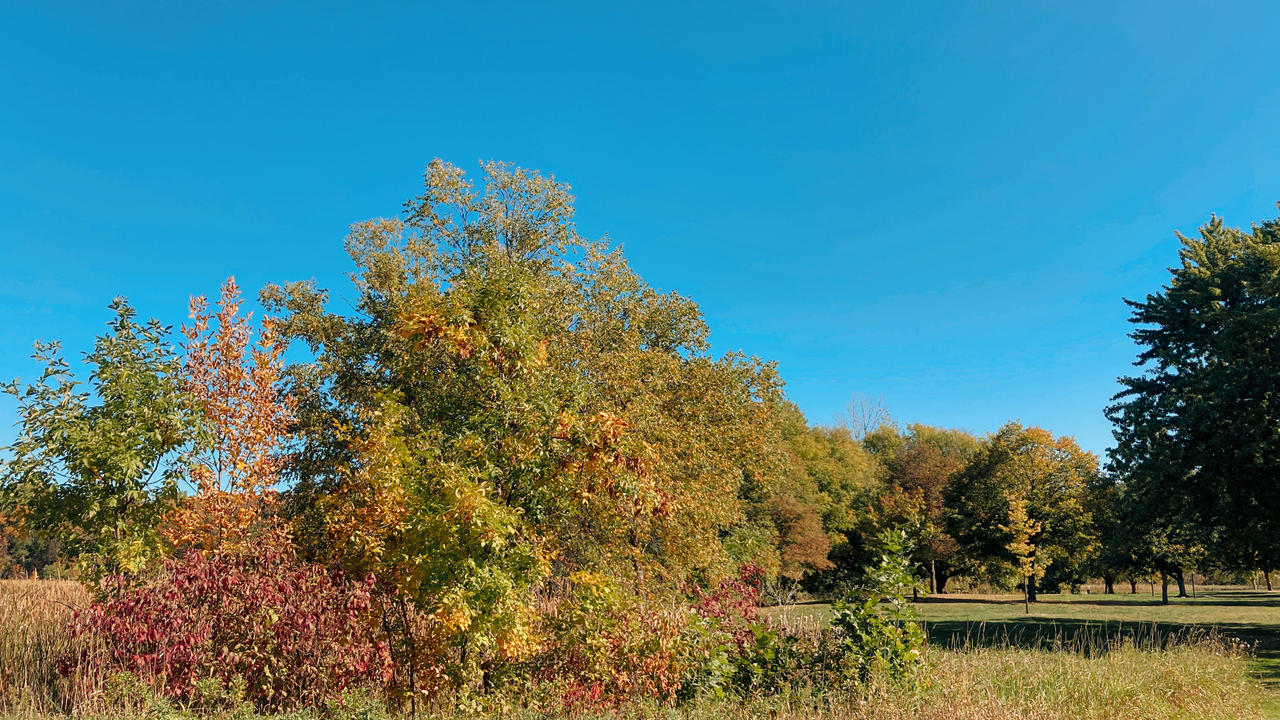 Region Fall Fall Foliage at French Regional Park II by emilymh2018 on DeviantArt