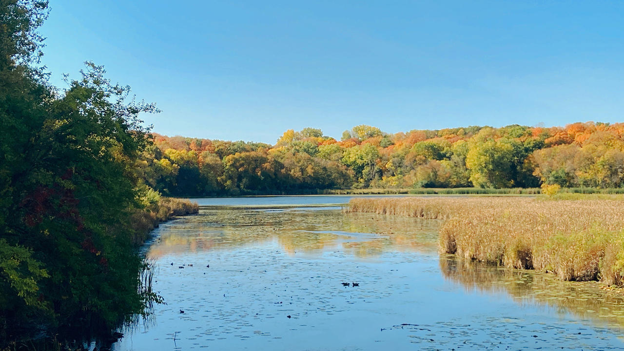 Region Fall Fall Foliage at French Regional Park V by emilymh2018 on DeviantArt