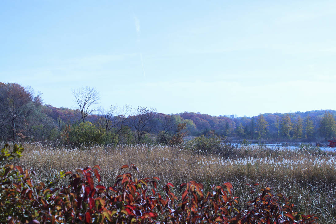October Fallscape October Autumnscape by emilymh2018 on DeviantArt