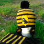 Hufflepuff Hat and Scarf Set