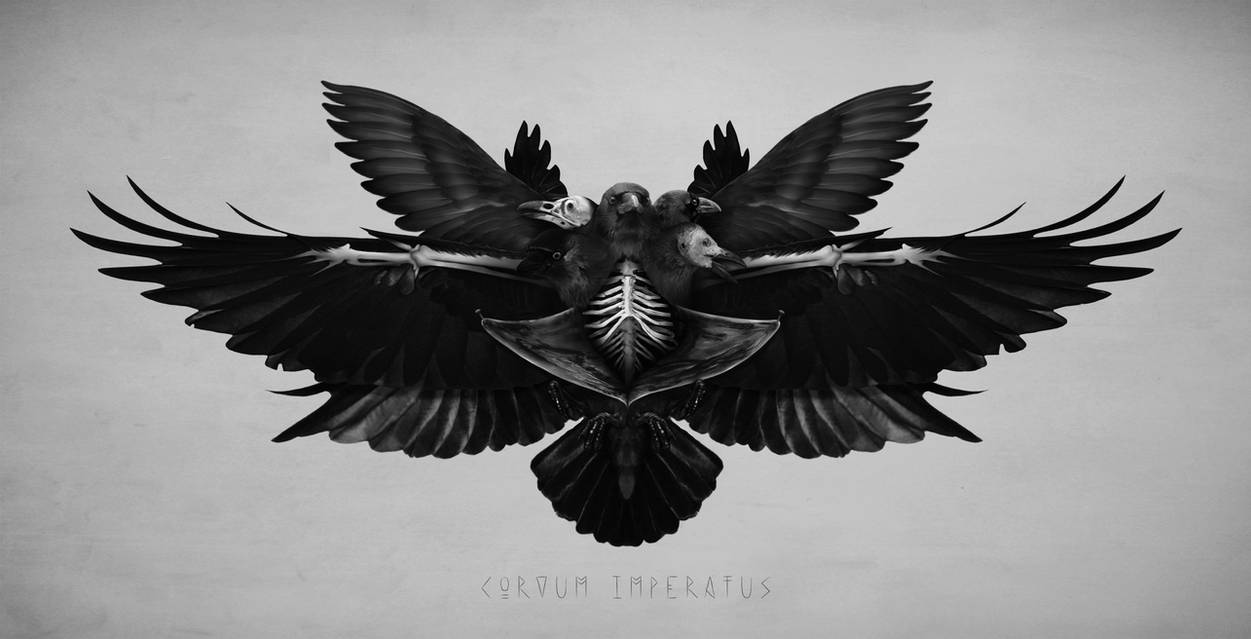 Corvum Imperatus by Jesse-Gourgeon