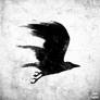 Tattoo : Painted crow