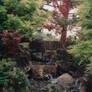 japanese gardens