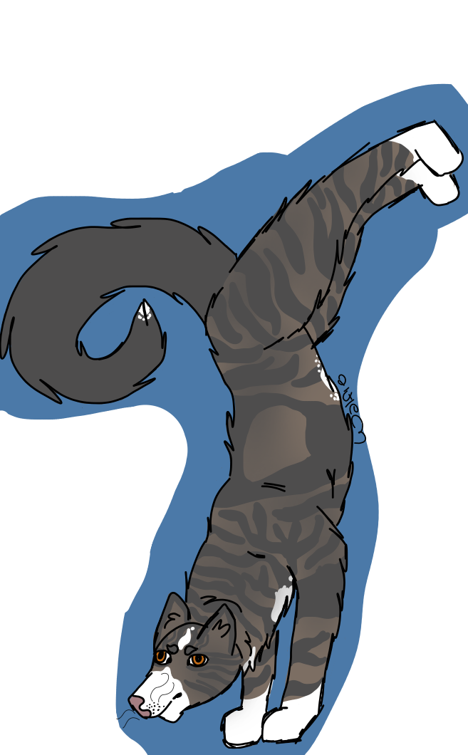 Kitter 3 by wolfiedog3 on DeviantArt