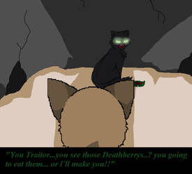 Hollyleaf  wants to kill leafpool!