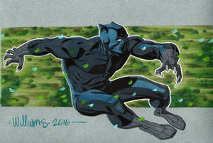 Black Panther for Shelton