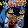 Jaguar my first DC book Jaguar
