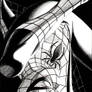 Marvel Icon Spider-man