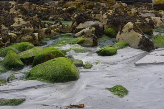 Coast of West Ireland