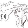 Sora Kingdom Hearts