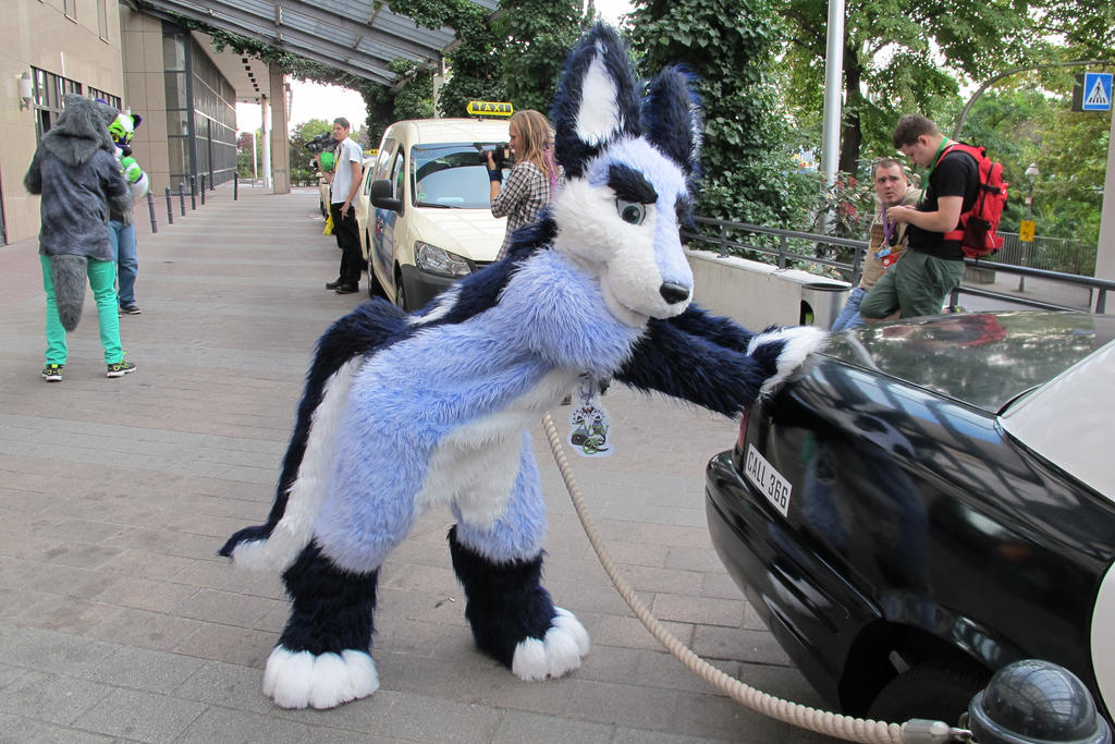 Zuzu pushing police car on Eurofurence (EF20)