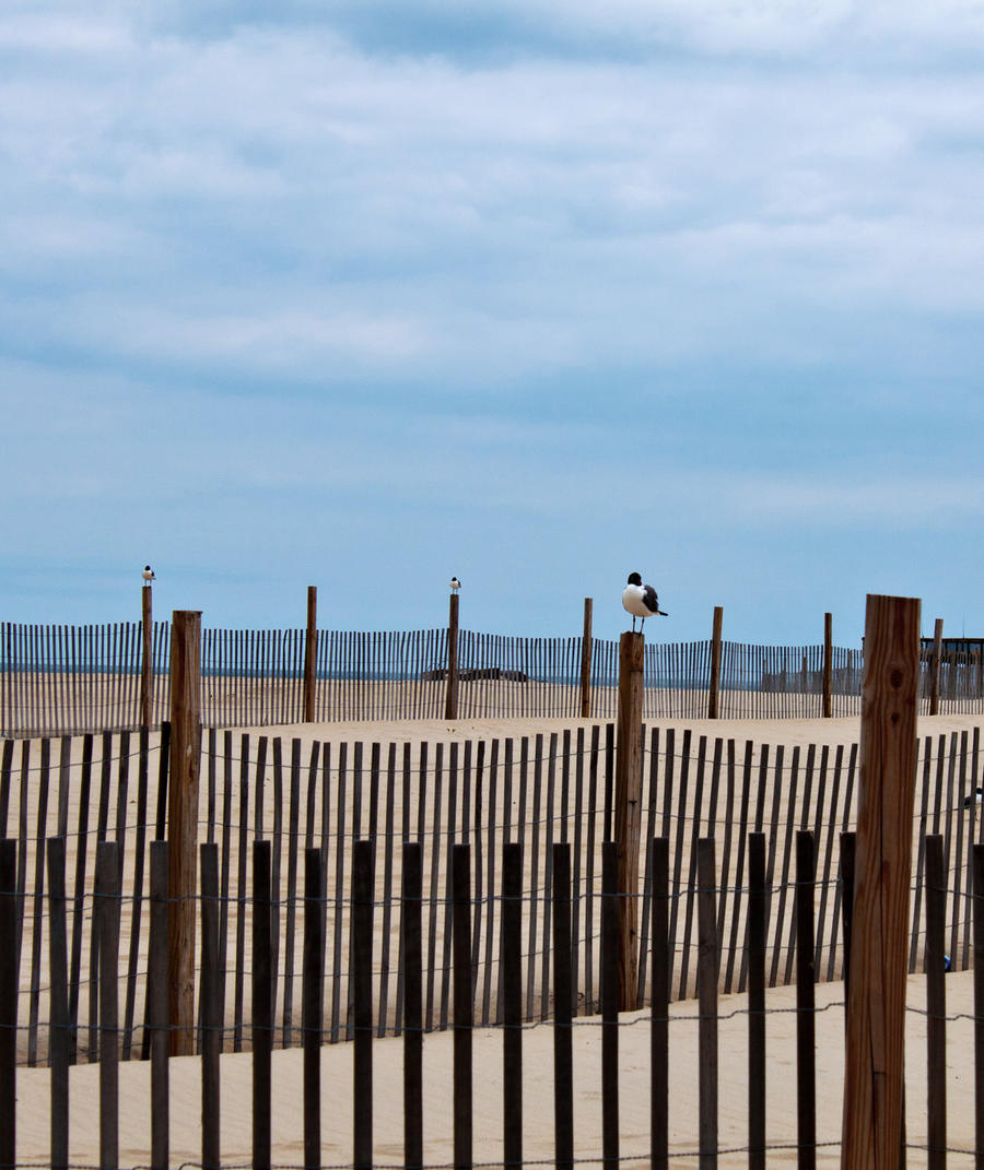 feathered finials