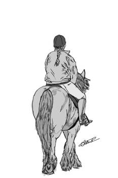 Horse and Rider Sketch