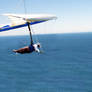 Cat and Hang Gliding