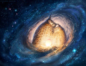 Galaxy Nest
