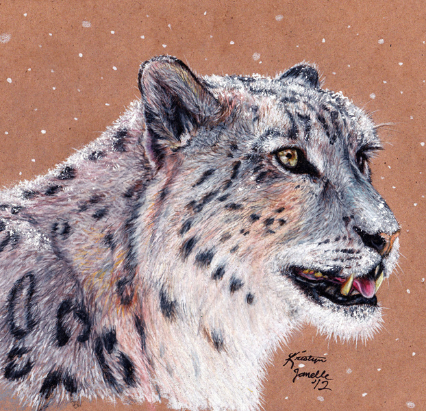 Snow Leopard by Kristyn Janelle