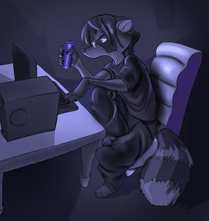 Raccoon Hacker 2