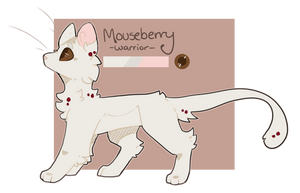 Mouseberry | FF APPLICATION