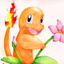 Charmander in the Tall Grass