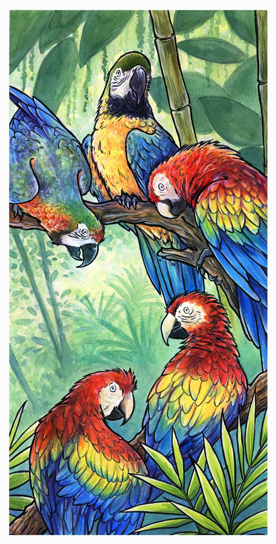 A Parrot Party