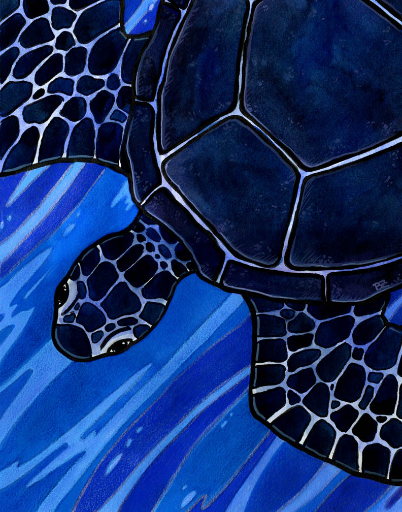 Black Turtle of the North