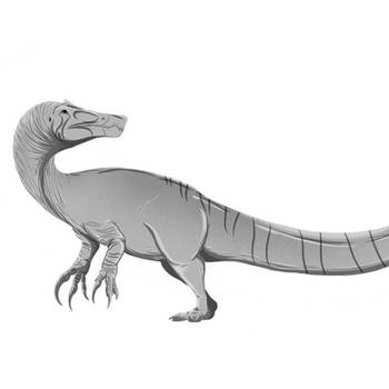 Irritator challengeri