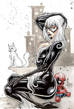 BLACK CAT