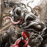 Spidey vs Venom