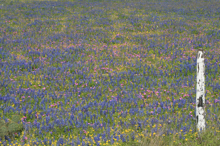 Springtime by princevlad39 on DeviantArt