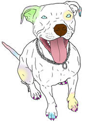 Pastel Pittbull Adopt