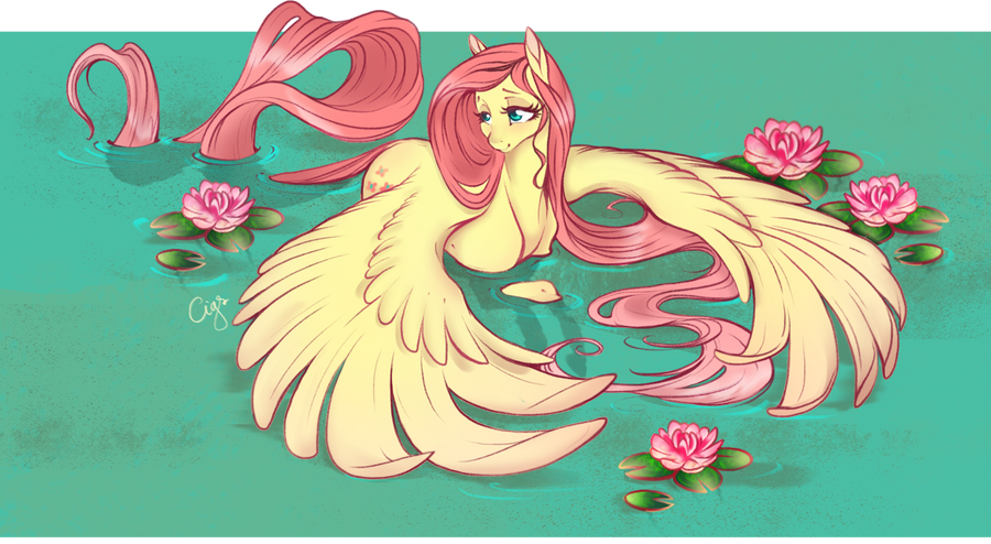Fluttershy