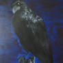 the raven