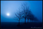 Blue Fog Sun by allym007