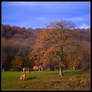 Last day of Autumn