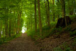 The End of the Trail by BrumalSilence