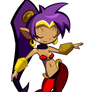 Shantae Half-Genie Hero