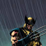 Wolverine