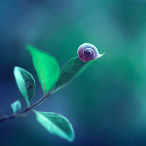 Sanctuary by arefin03