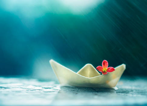 Little boat and summer rain