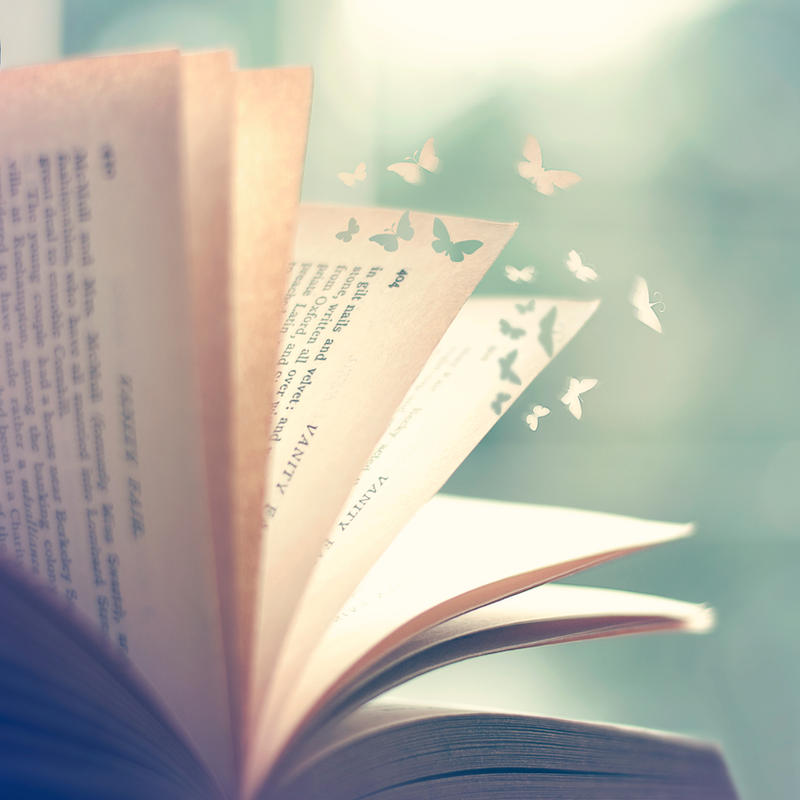 Flying Stories